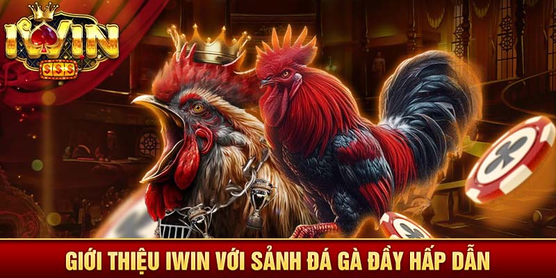 Giới thiệu Iwin với sảnh đá gà đầy hấp dẫn