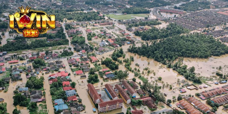 Giải mã bí ẩn đằng sau một số giấc mơ thấy lũ lụt